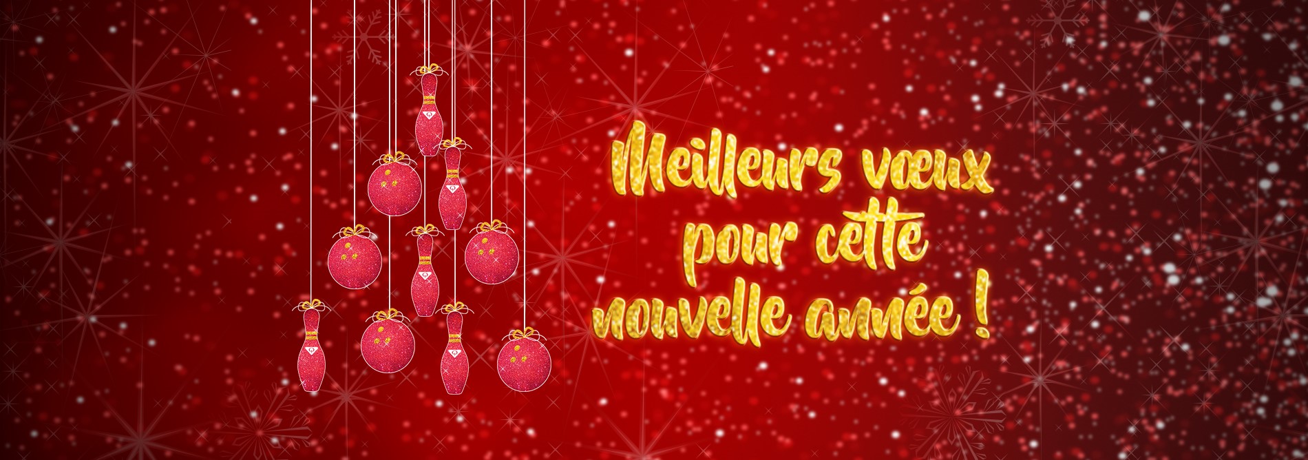 Website Banner Holiday 2023 France.jpg
